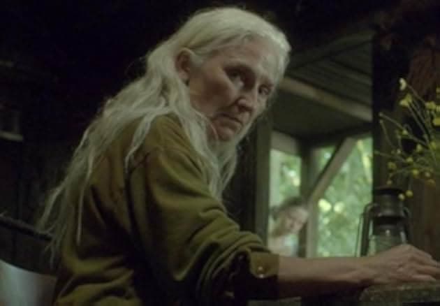 The Survivalist 2015