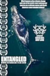 Entangled: The Race to Save Right Whales from Extinction 2020