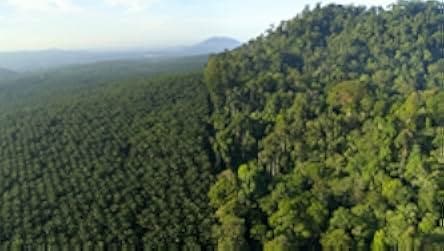 David Attenborough: A Life on Our Planet 2020