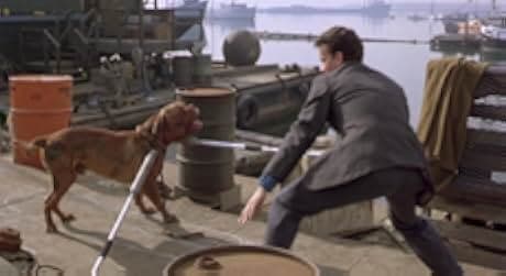 Turner & Hooch 1989