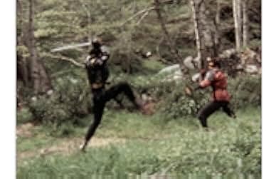 Games of Survival 1989