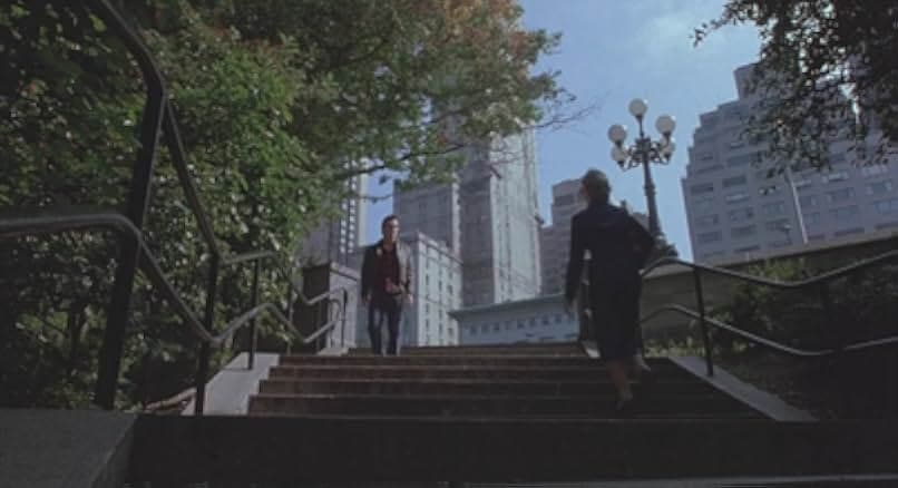Der Herrscher des Central Parks 1985