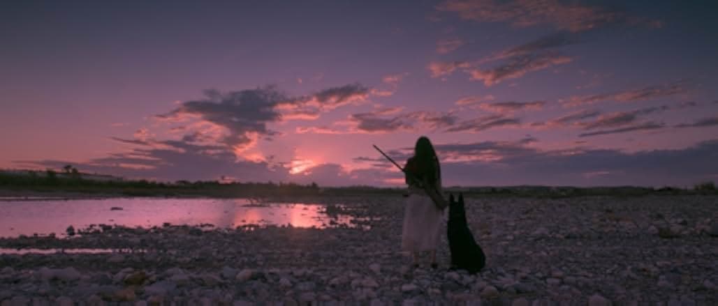 Birdshot 2016