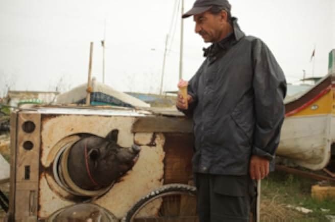 When Pigs Have Wings 2011