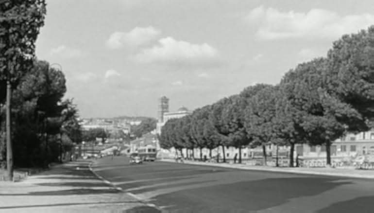 Too Bad She's Bad 1954