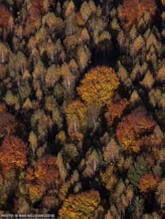 Untamed Romania 2019