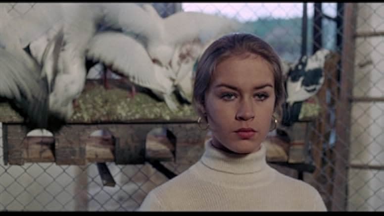 La novia ensangrentada 1972