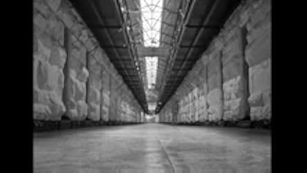 Riot in Cell Block 11 1954