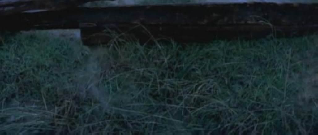 The Banishment 2007