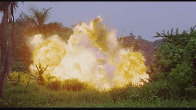 Killer Crocodile 1989