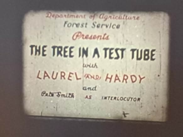 The Tree in a Test Tube 1942