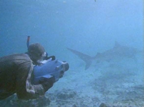 Diving Deep: The Life and Times of Mike deGruy 2020