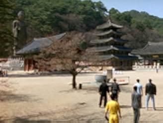 Bruce Lee: A Warrior's Journey 2001