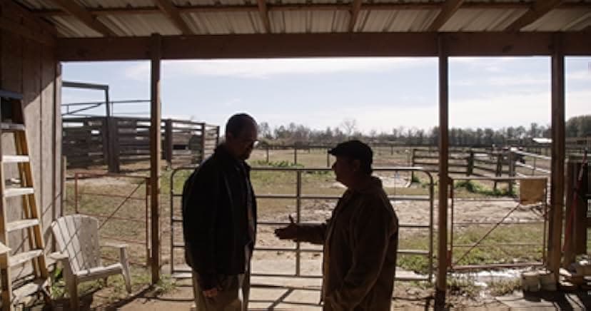 The Fiddling Horse 2019