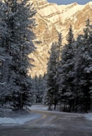 Snowkissed 2021