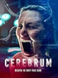 Cerebrum 2023