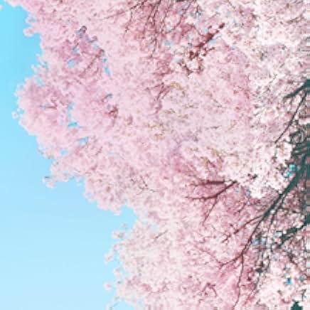 Little Forest: Winter/Spring 2015