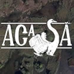 Acasa, My Home 2021