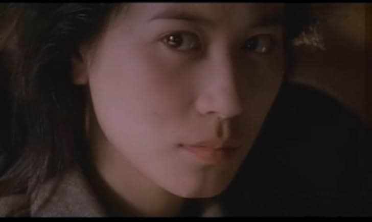 Heaven and Earth 1994