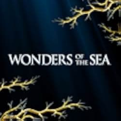 Wonders of the Sea 2017