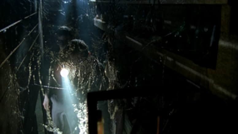 Messengers 2: The Scarecrow 2009