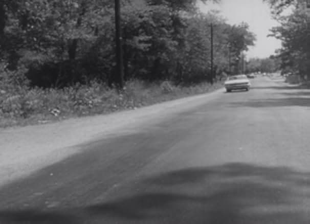 Girl on a Chain Gang 1966