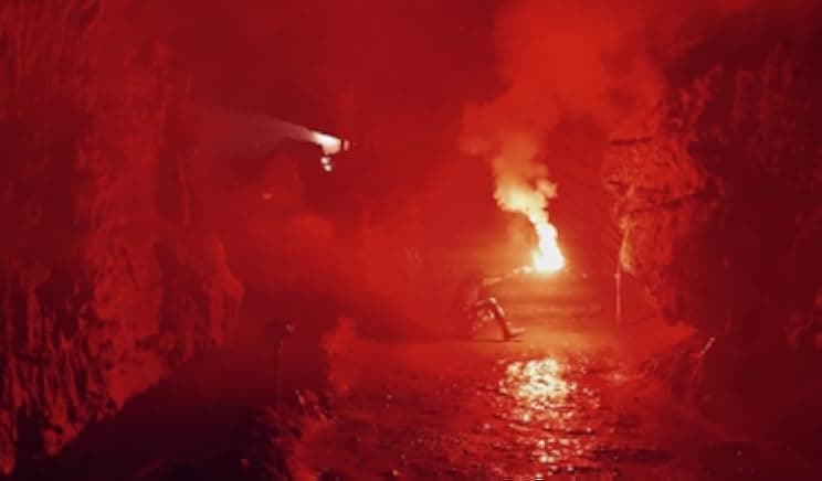 Crocodile Swarm 2023