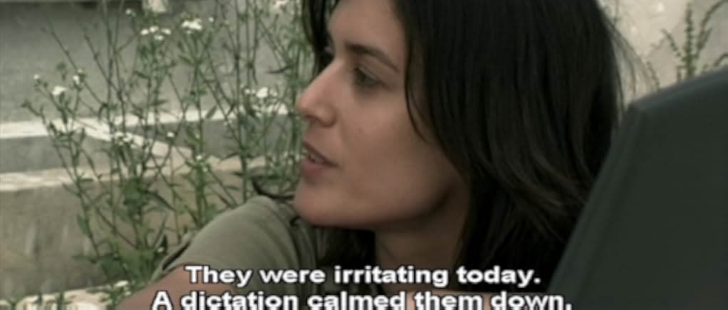 Them 2006