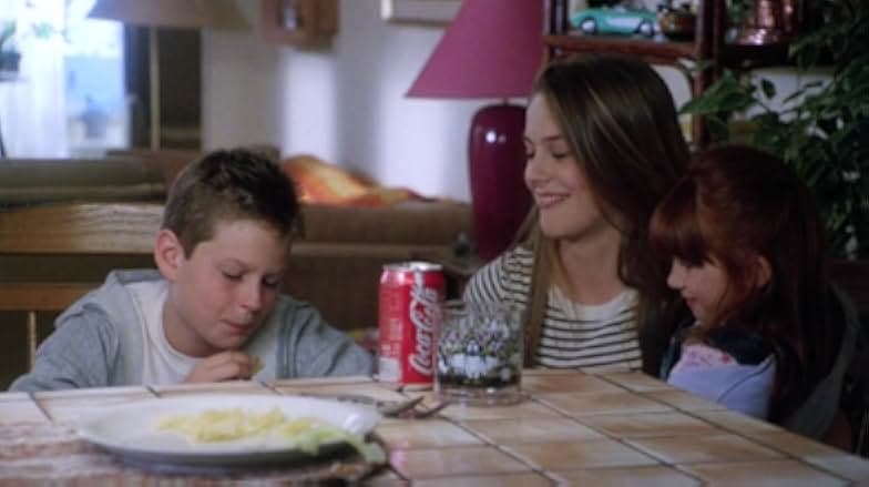 The Babysitter 1995