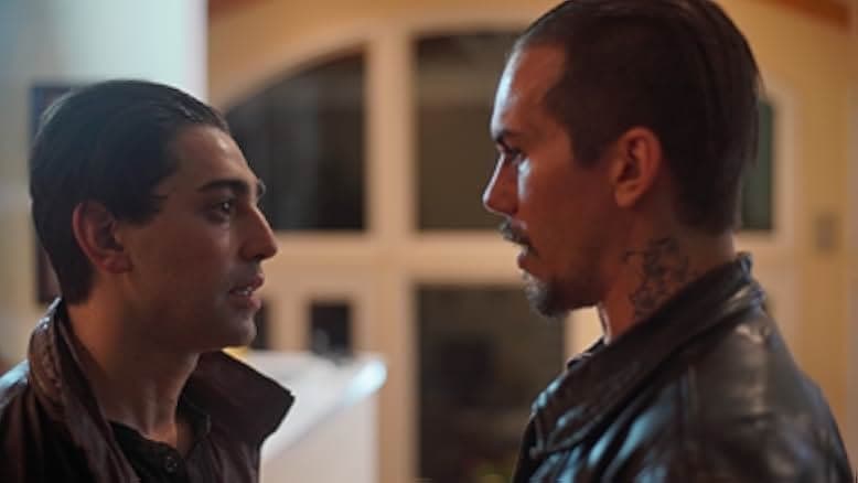 Where Sleeping Dogs Lie 2019