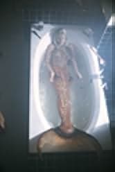 Splash 1984