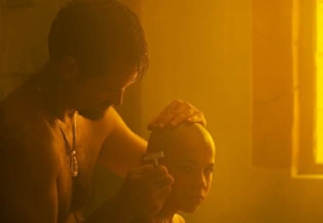 Down the Rabbit Hole 2024