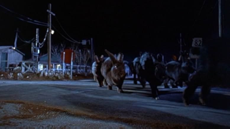 Night of the Lepus 1972