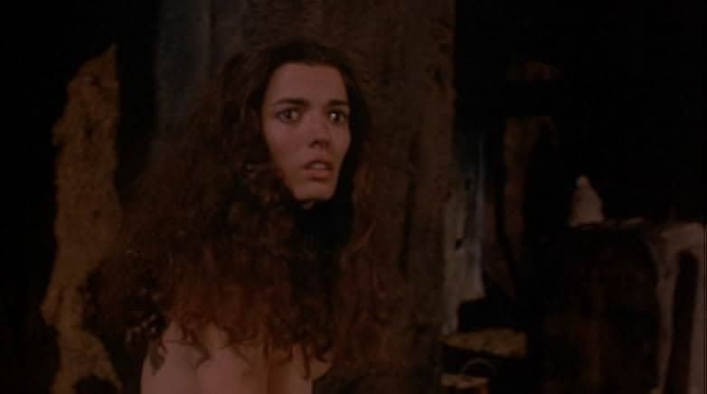 The Warrior and the Sorceress 1984