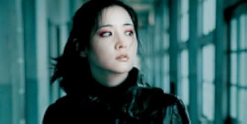 Lady Vengeance 2005