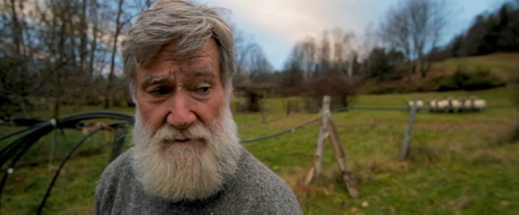 Peter and the Farm 2016