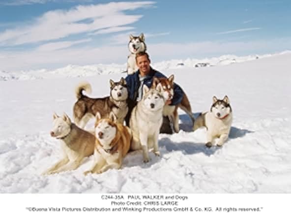 Eight Below 2006