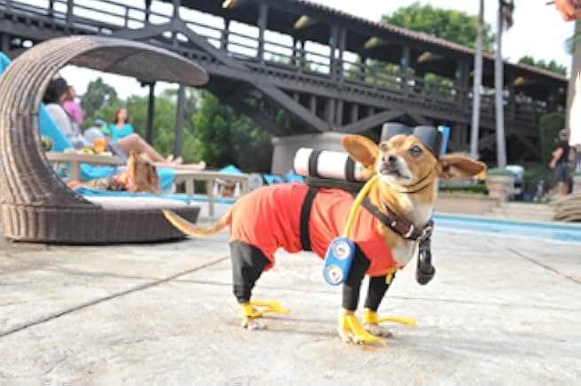 Beverly Hills Chihuahua 3: Viva La Fiesta! 2012