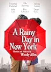 A Rainy Day in New York 2019