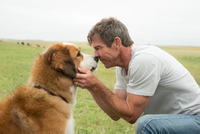 A Dog's Purpose 2017