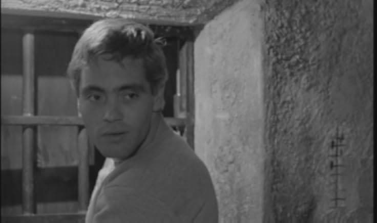 Violent Life 1962