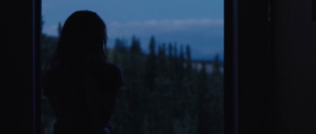 Wildlike 2014