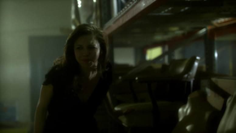 Mirrors 2 2010