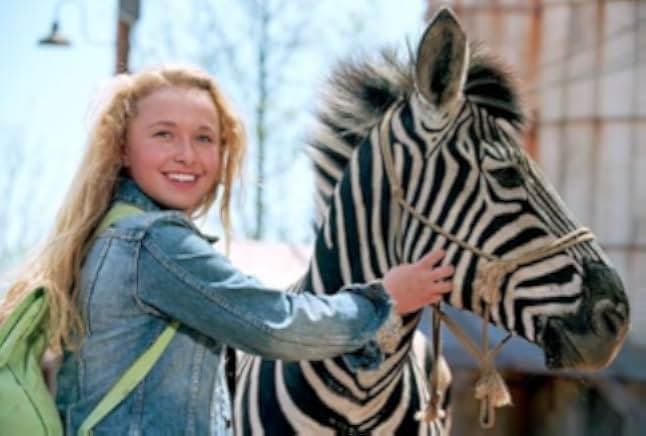Racing Stripes 2005