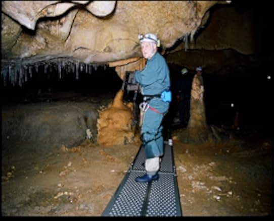 Cave of Forgotten Dreams 2010