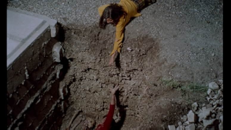 The Iron Rose 1973
