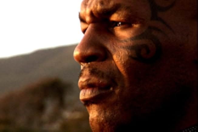 Tyson 2008