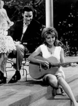 Live a Little, Love a Little 1968