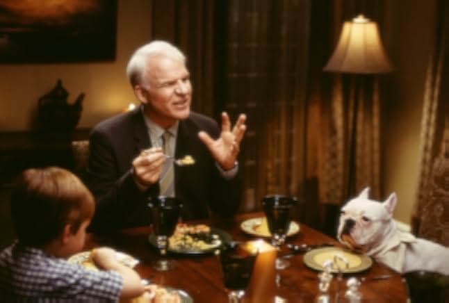 Bringing Down the House 2003