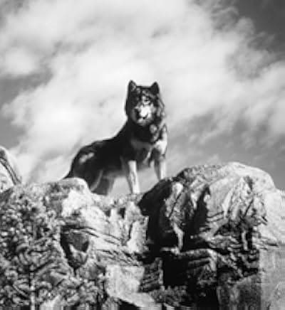 White Fang 2: Myth of the White Wolf 1994